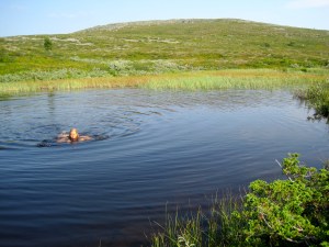 Harvoin on tunturissa näin uimalämpöistä vettä.